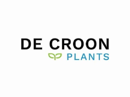 De Croon Plants